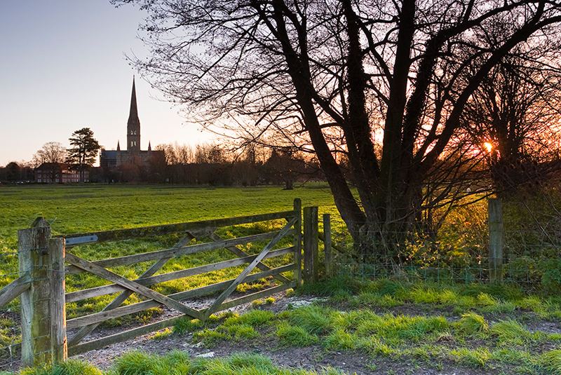 Een mooi landschap met groene weiland