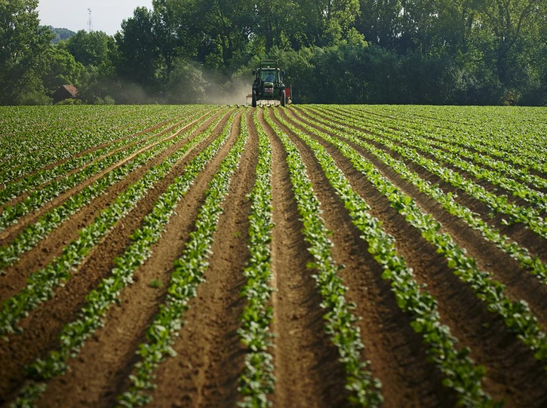 Agri