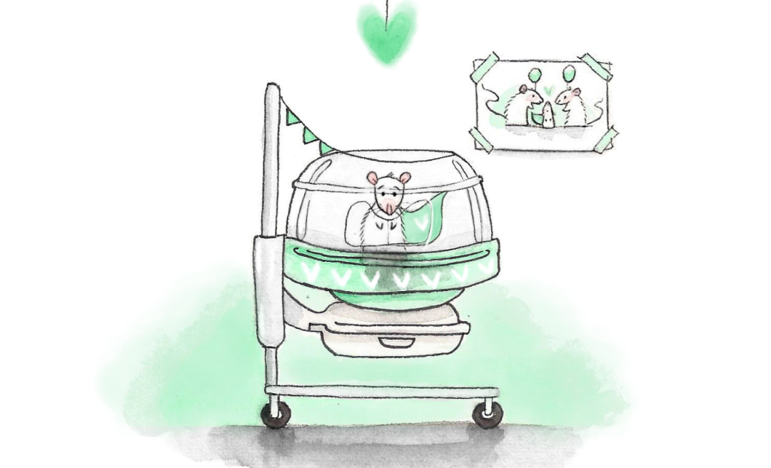 Muizen in een stripverhaal 