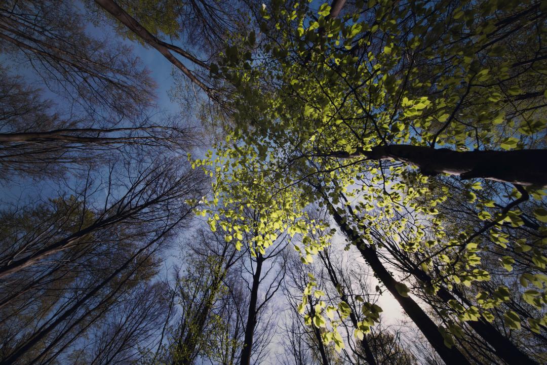 Duurzaamheidsverslag