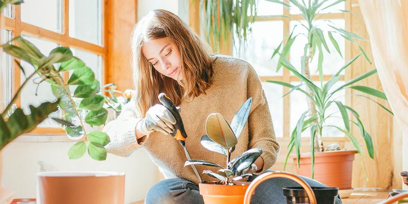 Jonge vrouw verzorgt haar plantjes in een bloempot