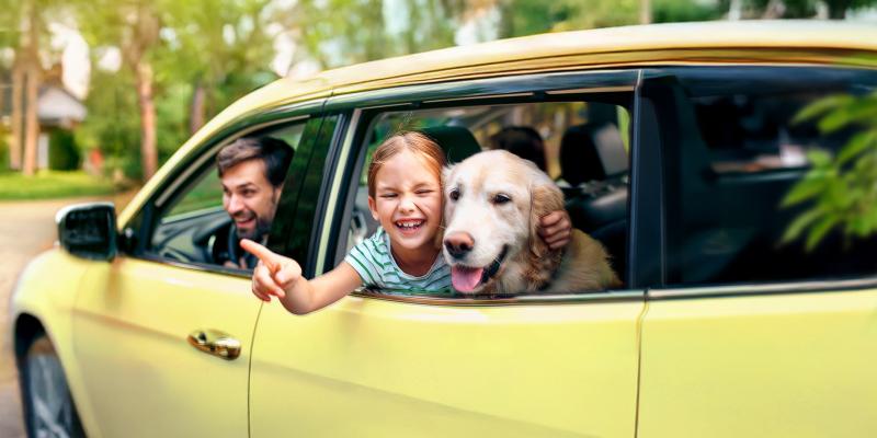 Meisje met haar hond in de wagen van papa