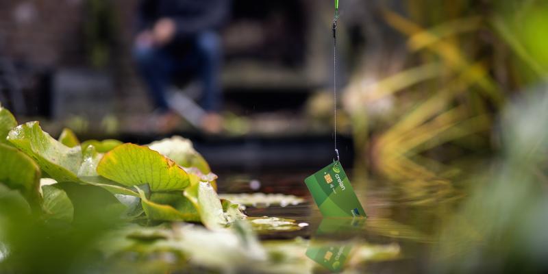 Phishing