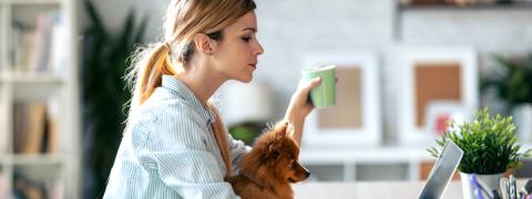 Een jonge vrouw bekijkt artikels op haar laptop met hondje op haar schoot