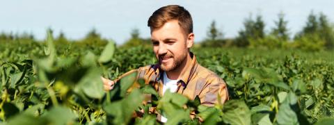 Jonge landbouwer tussen bloeiende struiken