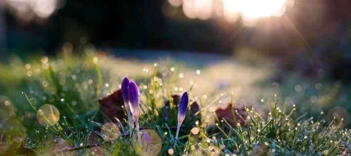 een dierbare overlijdt