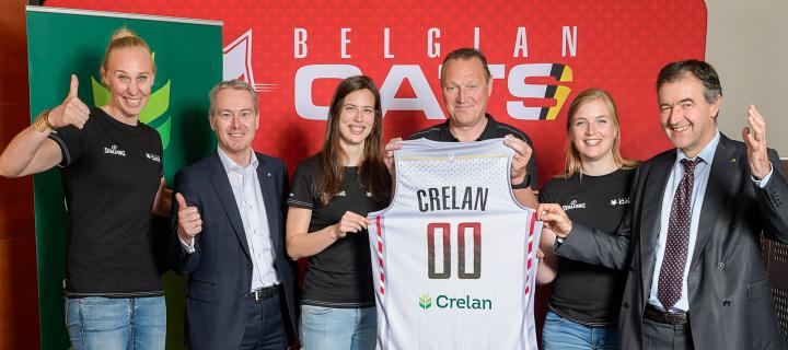 Belgian Cats 1