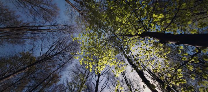 Duurzaamheidsverslag