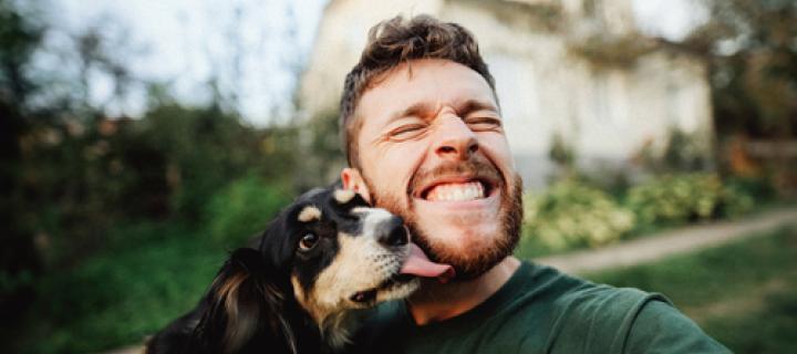 Jonge hond likt aan het gezicht van zijn vrolijk baasje