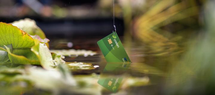 Phishing