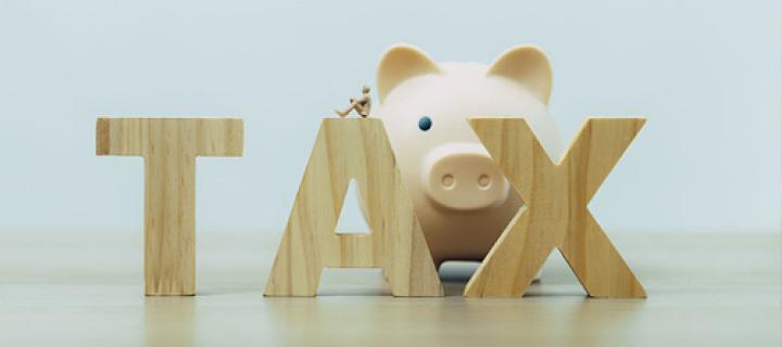 Spaarvarken achter grote TAX-letters