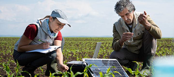 Deux agriculteurs examinent la qualité du sol