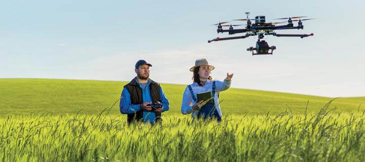 Een koppel landbouwers bekijkt hun oogst met een drone